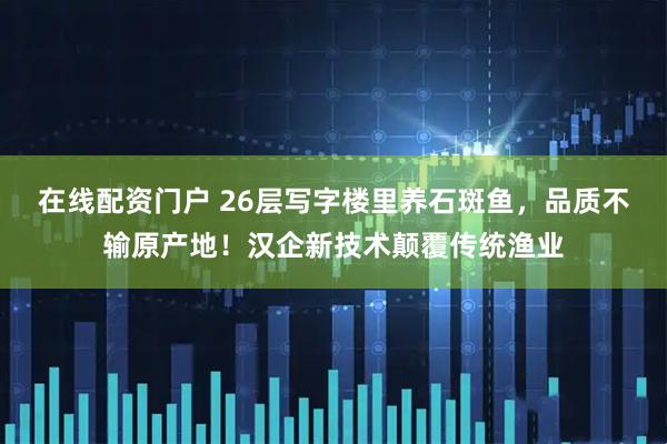 在线配资门户 26层写字楼里养石斑鱼，品质不输原产地！汉企新技术颠覆传统渔业