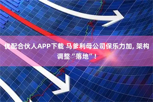 优配合伙人APP下载 马爹利母公司保乐力加, 架构调整“落地”!